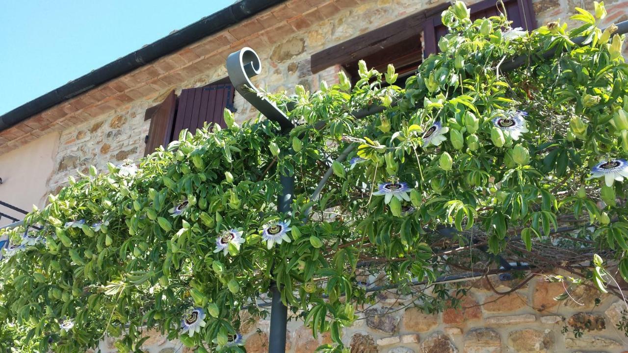 Agriturismo Podere San Lorenzo 1866 Massa Marittima Extérieur photo